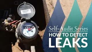 Self-Audit Series: How to Detect Leaks