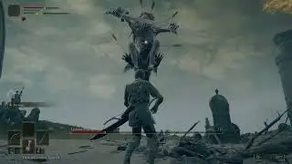 Elden Ring. Leonine Misbegotten, Castle Morne Boss.