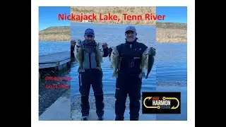 GNC Bass Club on Lake Nickajack January 2023 #bassfishing #BradHarmonFishing