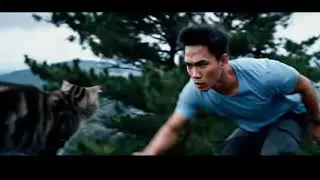 Cat in Baguio City | CopyCAT CopyFACE