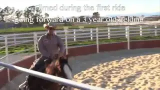 Some thoughts on balance on a young horse, and also about timing your release