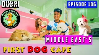 🐾🐶UAE's first Dog Cafe in Dubai Happy Bark Day - Unleash your pets in Dog friendly cafe Business Bay
