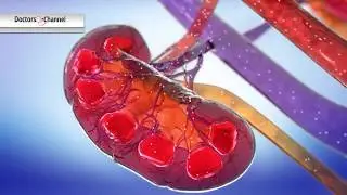 וירוס HCV בקרב חולי כליות