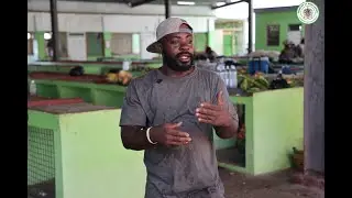 Meet The Jelly Man Bringing Fresh Coconut Water to the Agri Christmas Night Market in St. Kitts
