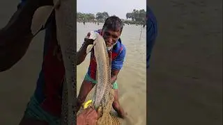 Wow! Amazing Polo Fishing Videos ! Best Big Fish Catching🐟Primitive fishing #fish #shorts #india