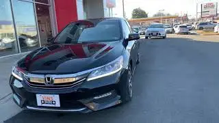 Accord for ashley