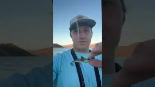 Ловля полосатого окуня на озере Сильвервуд. Использовал ультралайтовое удилище и спиннинг, поймал...