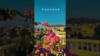 PUSHKAR VIBES #shorts #shortsfeed #youtubeshorts #viralvideo #ytshorts #viral #travel