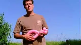 Ballon Gitarre, balloon guitar, Modellierballon Ballonfiguren
