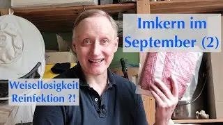 Imkern im September (2) - Reinfektion & Weisellosigkeit
