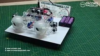 ERRB044 || Arduino Based Human Eye Movement Controlled By Ultrasonic Sensor