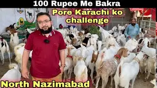 North Nazimabad Me 100 Rupee Me Qurbani 2025 Ka Bakray 😍 | Mandi Se Sasta Janwer ||