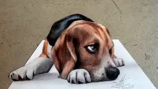 COMO DESENHAR UM CACHORRO EM 3D