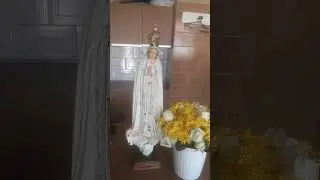 Eu sou a m&atilde;e do Belo amor