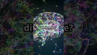 What If You&rsquo;re Just a Brain in a Jar?