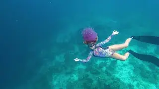 Olango Freediving: Featuring the Crown Jellyfish