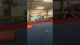 Alyssa Crisp 2023- vault to mats