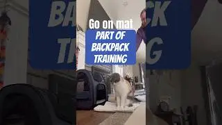 L1 Guide On Training Mat With Target Stick 🎒