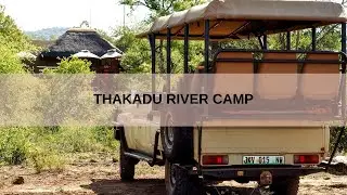 Thakadu River Camp - Ultimate Safari Experience in Madikwe Game Reserve