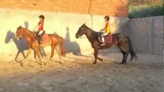 Hipica 