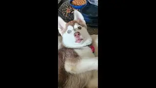 I want to share something with you