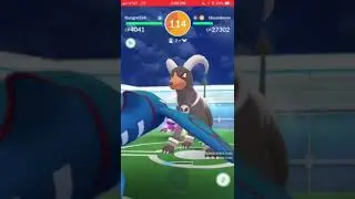 Houndoom duo no WB 40s BF