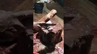 Fish Cutting Live video | Fish cutting #fishcutting #fishing