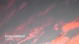 Koalabebop - Cache