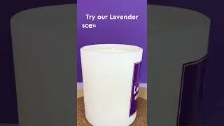 Lavender Scented Candle | Scent101