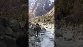 #frozen #river in #mountains  #31december2023 #pinetrees 🌲🌲🗻🗻