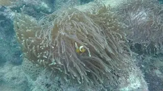 Sisters&rsquo; Island Marine Park