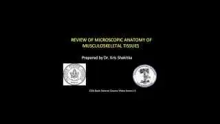 Review of Microscopic Anatomy of Musculoskeletal Tissues