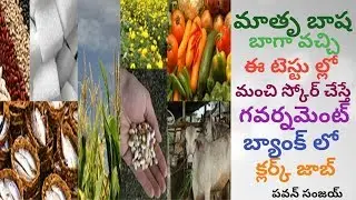 Clerk Jobs in Government Banks for Local Language Speaking People | in Telugu By Pa1