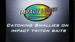 Smallies with Impact Lures Twitch Bait