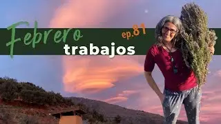 Ep 81 AguaBosque Febrero