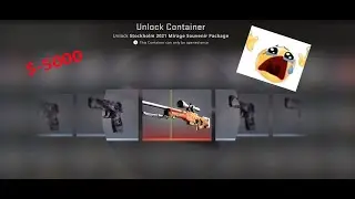 CSGO -5000$ Profit