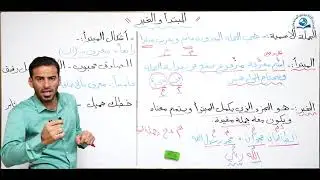 المبتدأ والخبر للاول المتوسط