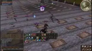 Lineage 2 Arion - Akamanah & Zariche.avi