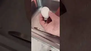 What happens to an egg left in refrigerator for 18 months?