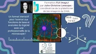 Formation FIJI ImageJ | De la prise en main aux analyses avancées en bio-imagerie