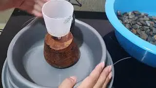 Bebedero casero para gatitos
