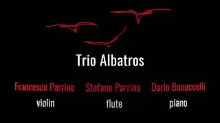 The Trio Albatros performs  