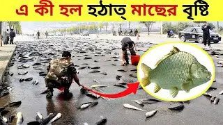 মাছ বৃষ্টি | fish rain | facts bangla | bangla facts | bangla facts video | facts video |