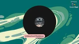 A Deep Examination of ICE s Enforcement Practices: Civil Rights Violations and Structural Impunity