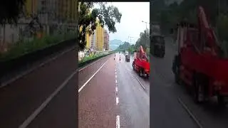 Heroic driver rescues dog on busy highway during rainstorm