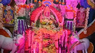 விளக்கு பூஜை சாமி சரணம் ஐயப்பா சரணம் 🙏💫❣️