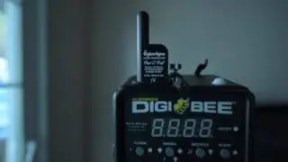 Почему вам стоит инвестировать в новый Digibee 800.