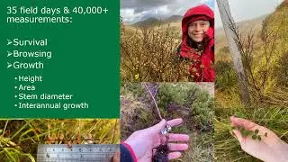 Presentation BES 2025 : Thinking outside the bog (by Sarah H. Watts)