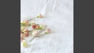 Jade Dill Seed