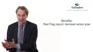 Insurance in a Minute: Audit
